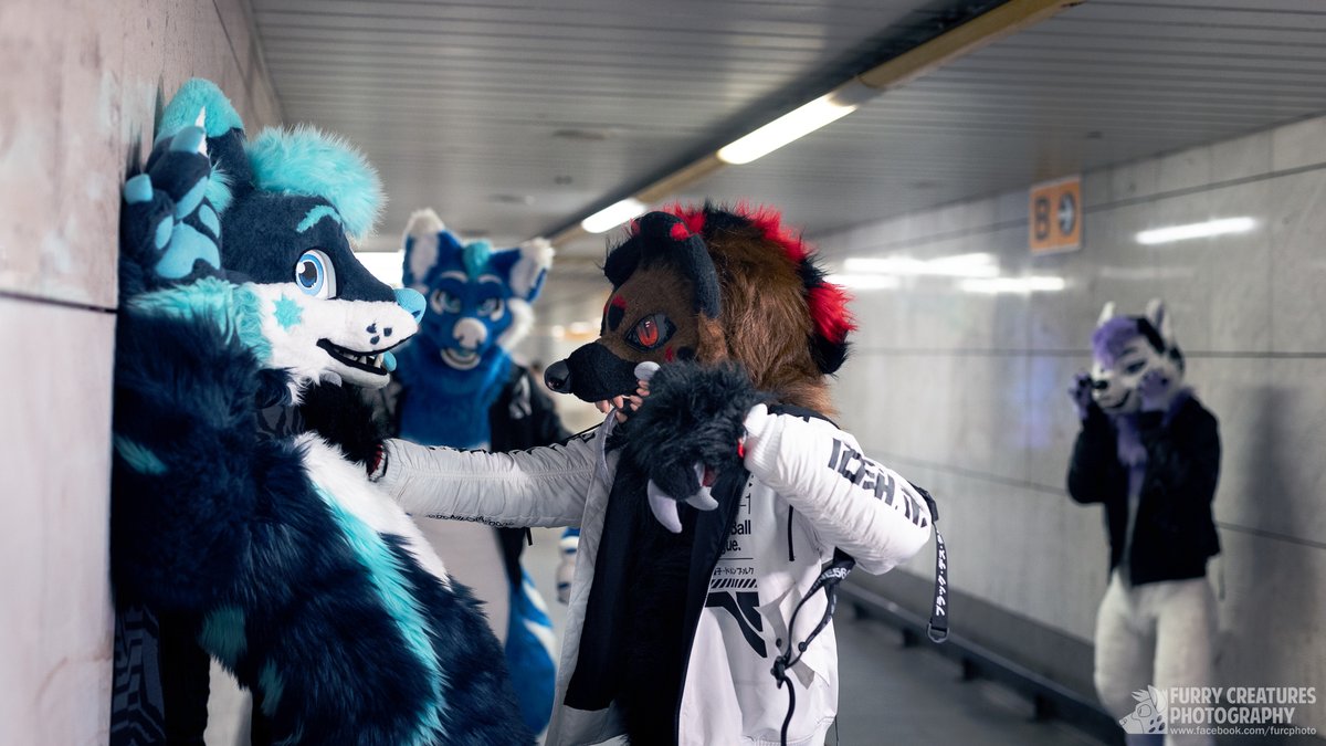 It's fun to be a yeen, always a chance to bully someone :P

🦊 <a href="/TyrkysHusky/">Tyrkys</a> 
🐗 <a href="/RasmussCZ/">Rasmuss</a> 
🐶 <a href="/PhillySatark/">Philly</a> 
🐶 <a href="/MarMarHusky/">MarMar Hoosk 🔜 FWA, CFZ</a>