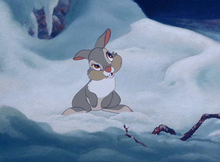 MagicMundi's tweet photo. A veces no hay que ir muy lejos, tan solo escucha a quien tienes a tu lado. 🐰 https://t.co/NQMto32Jhk