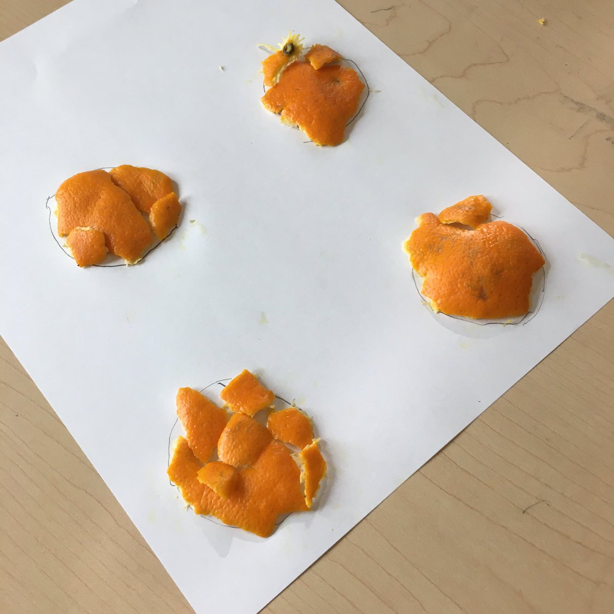 Erick Lee HRCE Math tweet media