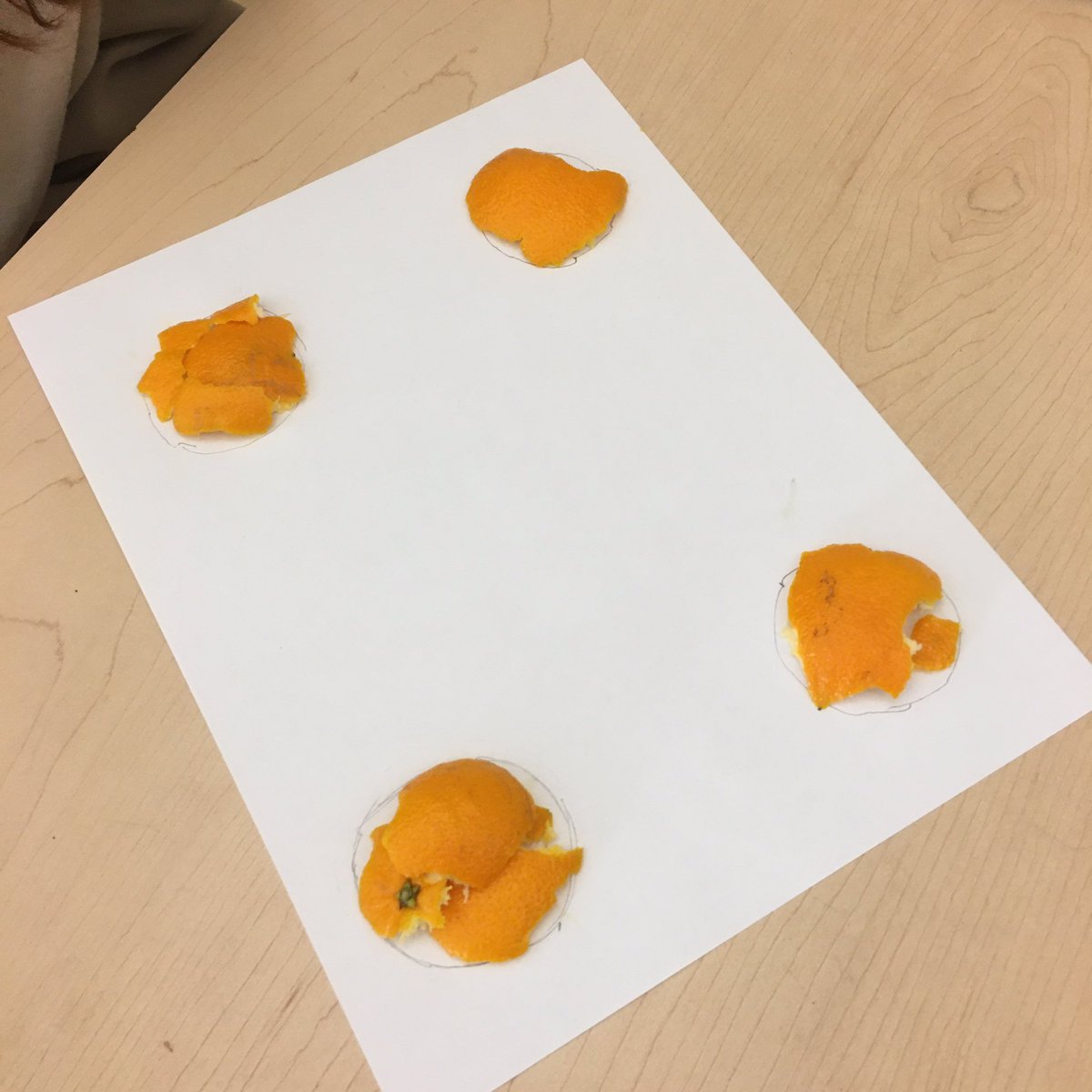 Erick Lee HRCE Math tweet media