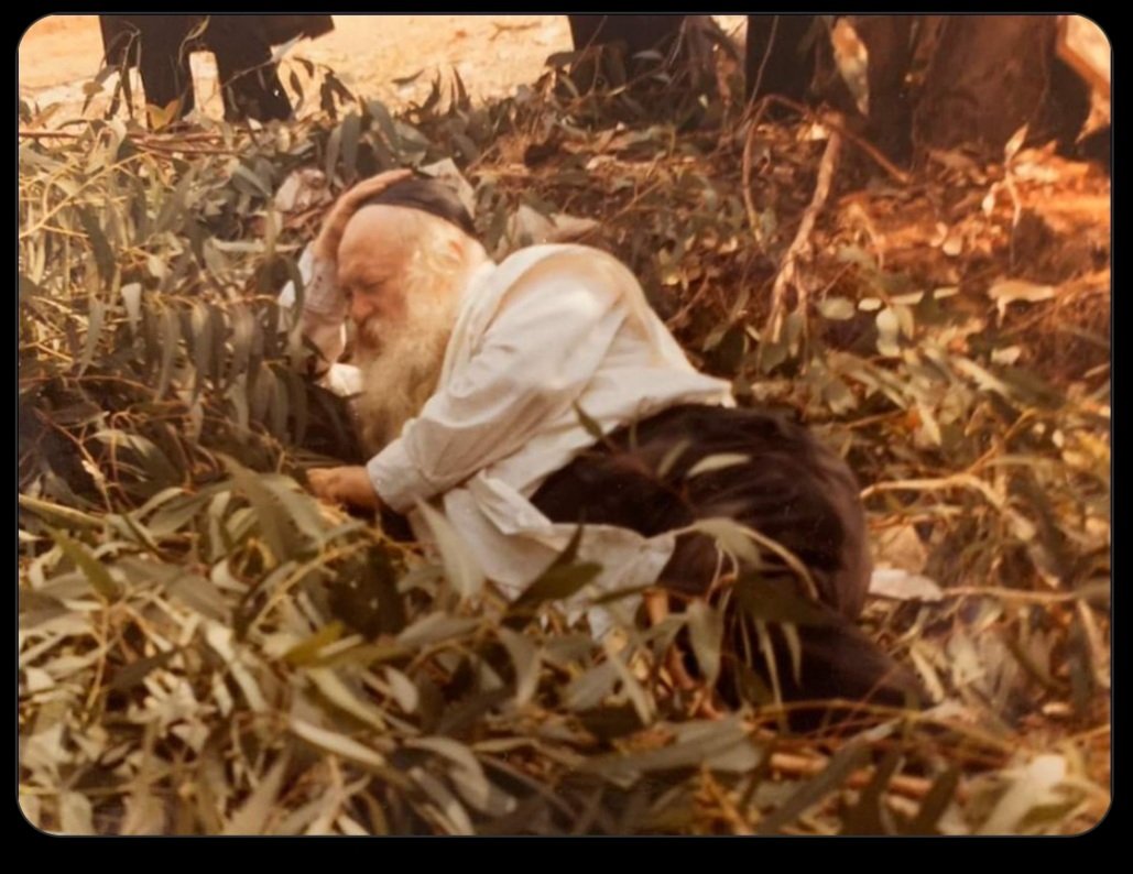 Kalonymus tweet media