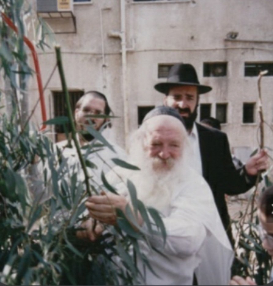 Kalonymus tweet media