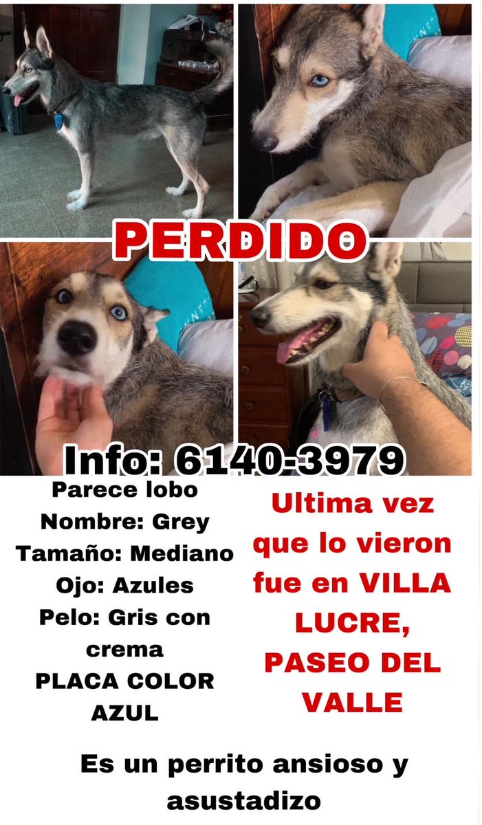 ⁦<a href="/VillaLucrePma/">Villa Lucre</a>⁩