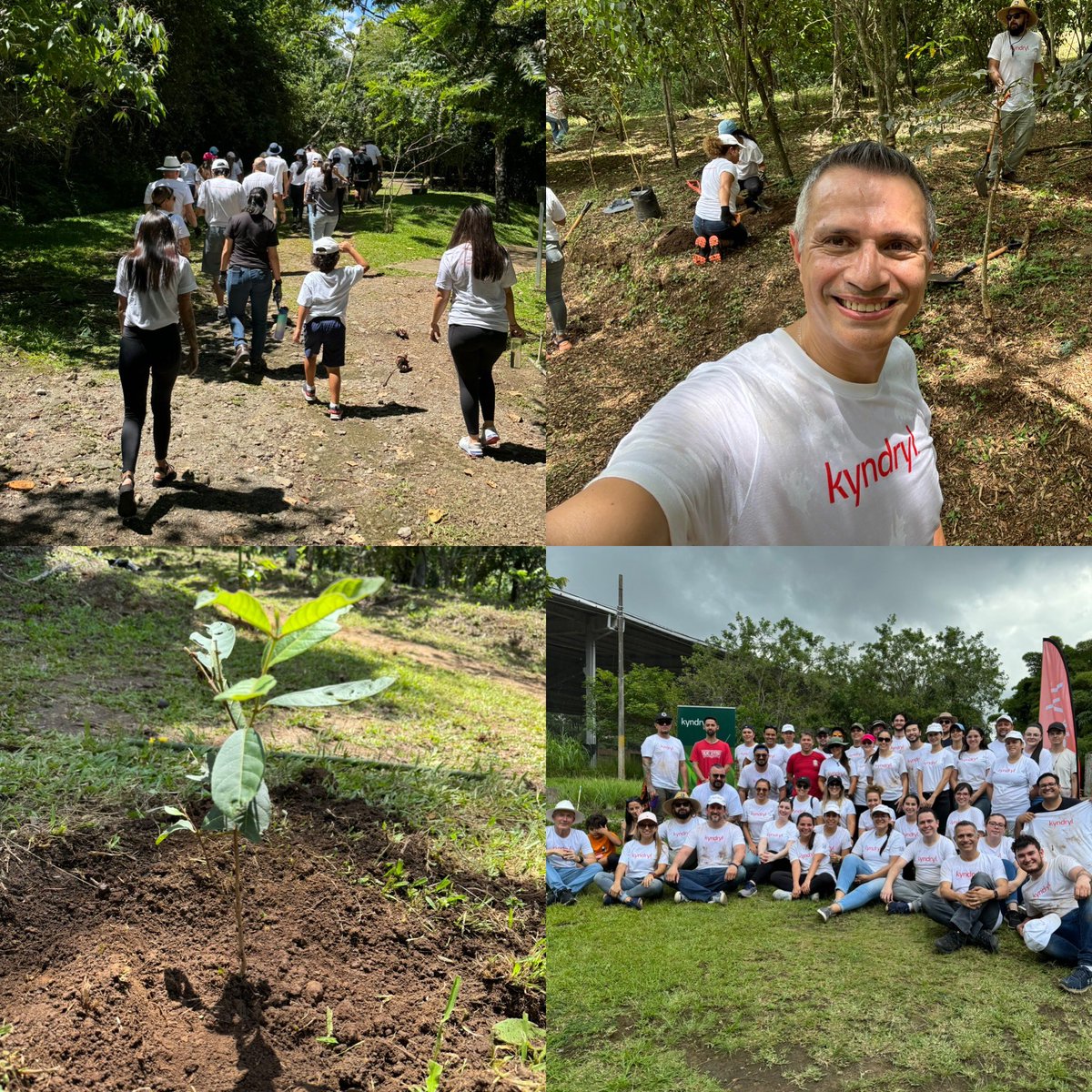 carlossm68's tweet image. Esta mañana voluntarios de @Kyndryl #CostaRica sembramos 250 árboles con lo que se calcula fijaremos 15 toneladas de CO2  como parte de “Acción Climática” de #RSC . Estamos en el corazón del progreso en nuestra comunidad. #ProCommunity #TheHeartOfProgress