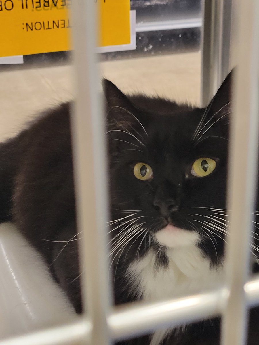 GreenIvy (@green_ivy_1) on Twitter photo 