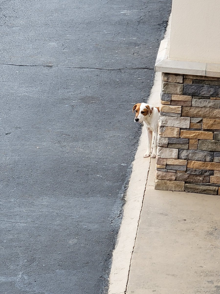 Melanie 🔪🖤 tweet media