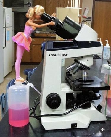 Alexandra tweet media