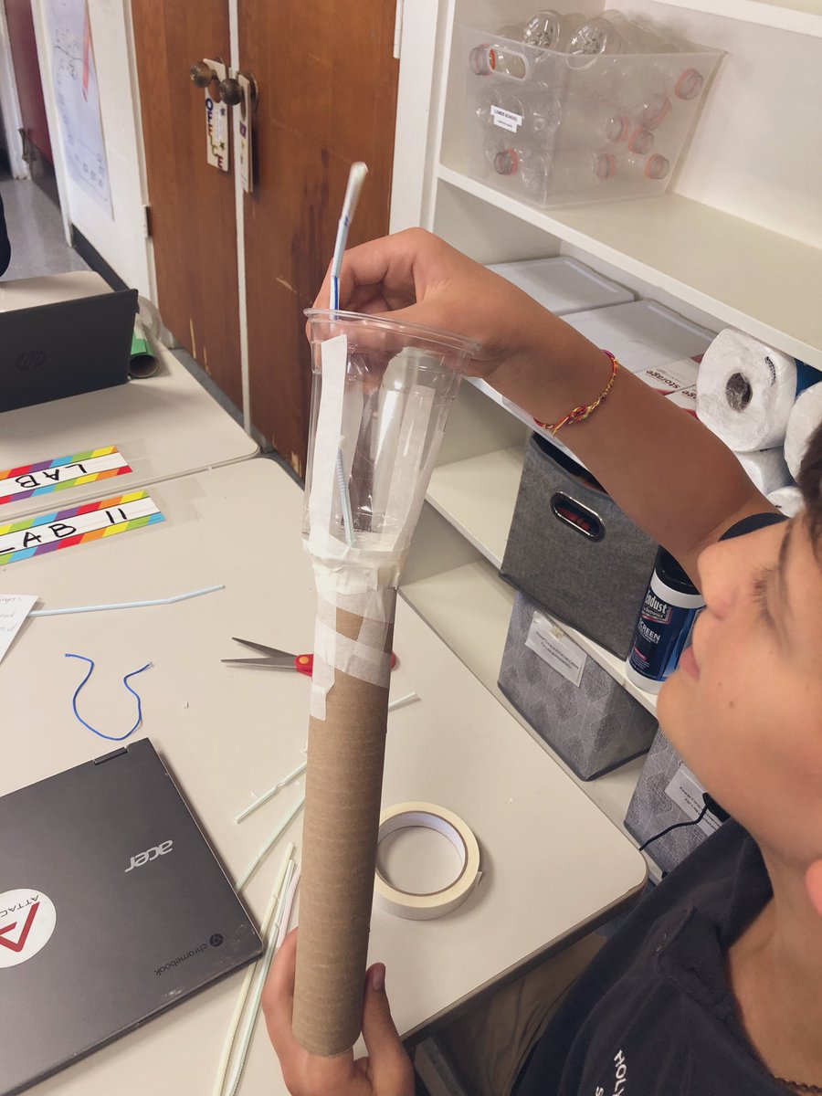 ᴍᴀʀɪᴀɴɴᴇ ᴛ. ɢʀᴇᴇɴ, ᴍ.ᴀ. tweet media