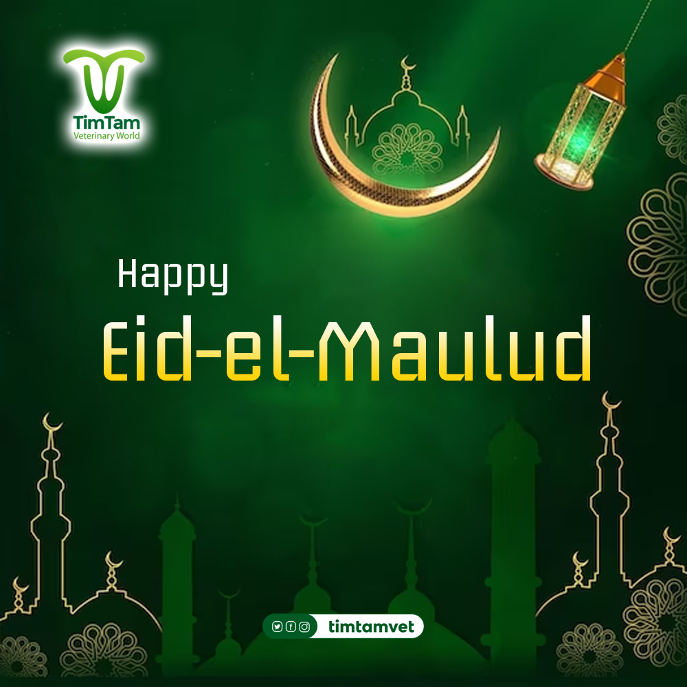 Happy Eid-ul-Maulud celebration to Muslim Faithfuls.
#eidelmaulud 
#timtamveterinary #farm #poultry
