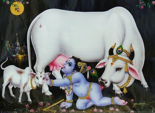 pandu108h's tweet photo. @S_Catsgotmyback @Kachingman_3 @AstronautSwing @mealreplacer Each person has various different advantages and disadvantages, but milk helps the comprehension of spiritual topics. God likes cows' milk, including taking it: https://t.co/SUSZoCoQHa