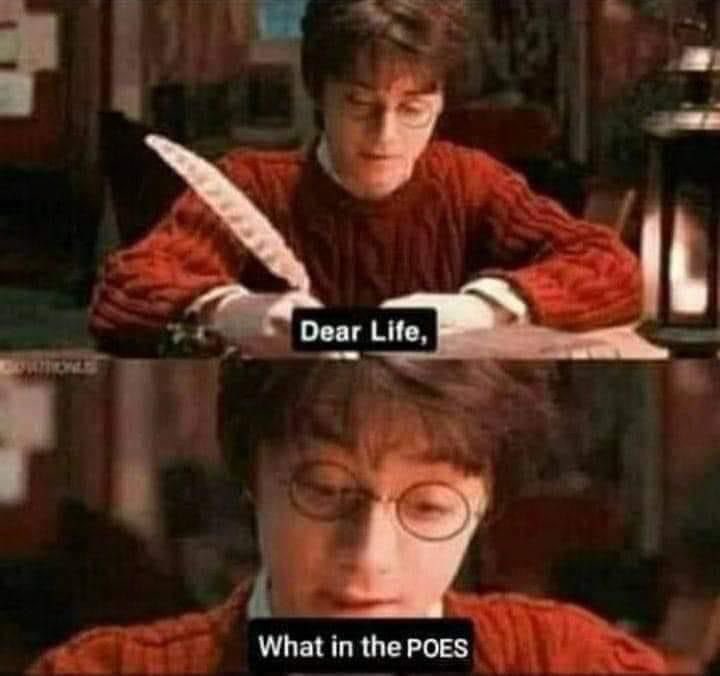 Zee 🪬 tweet media