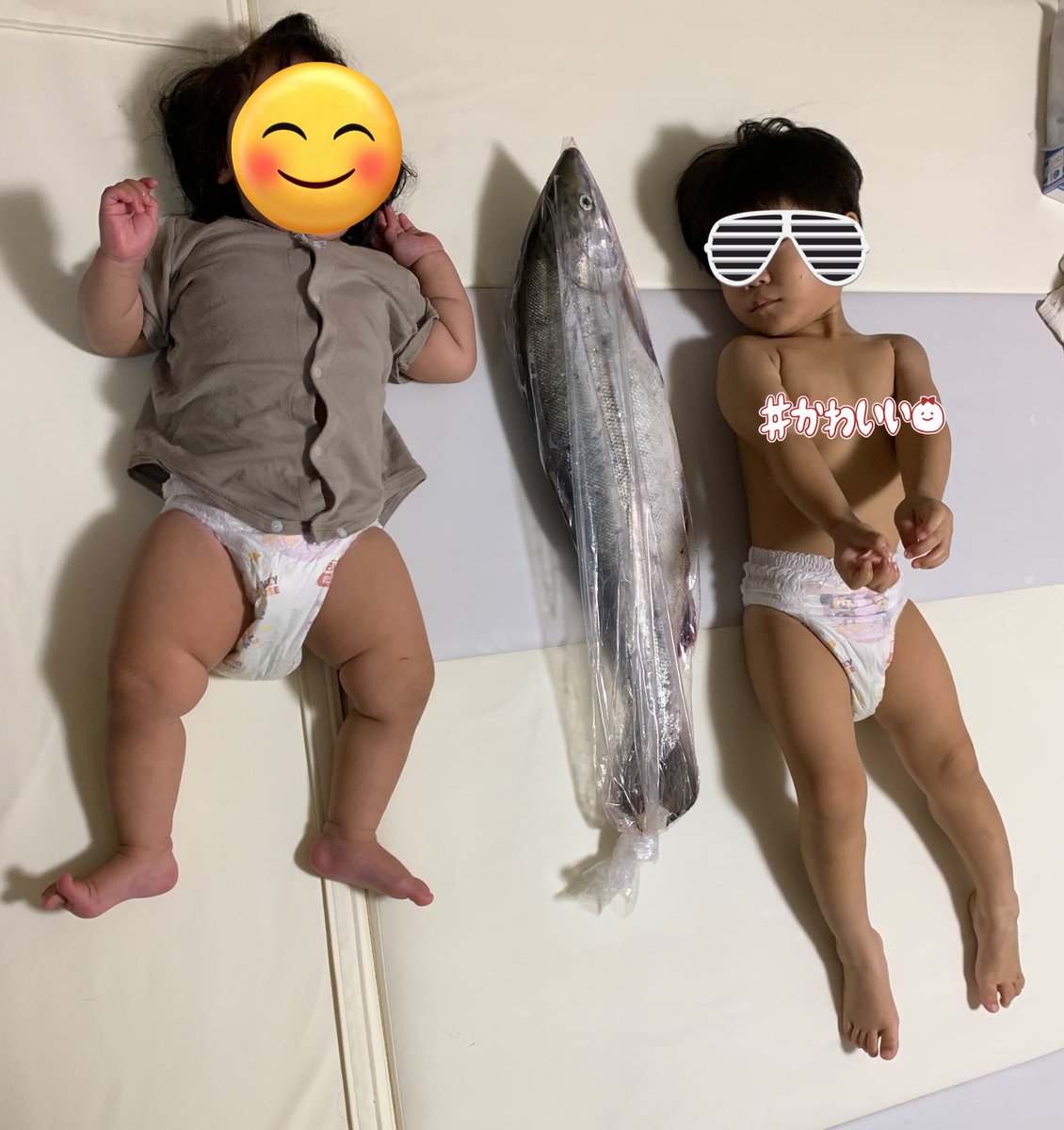 ✨おはようございます✨

今日は☁️

昨日の仕事帰りに
大きな鮭一本をさばいてきました🫡

秋ですねー🍂🐟

今日も良い一日を🤗