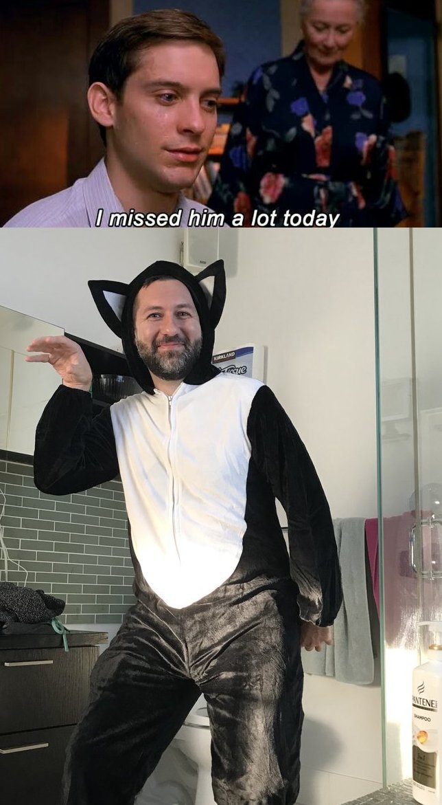 FancysSloth's tweet image. 