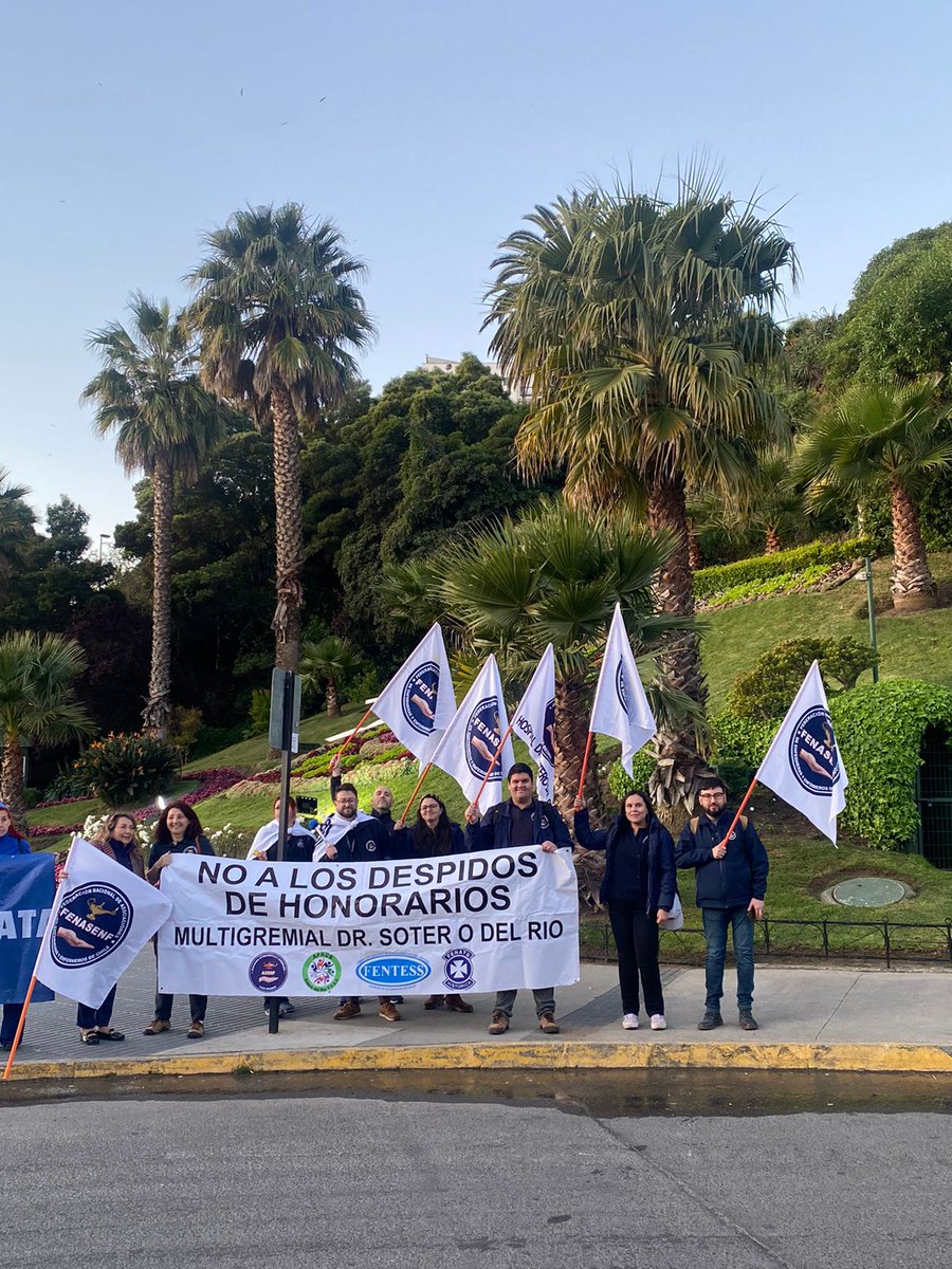 FENASENF tweet media