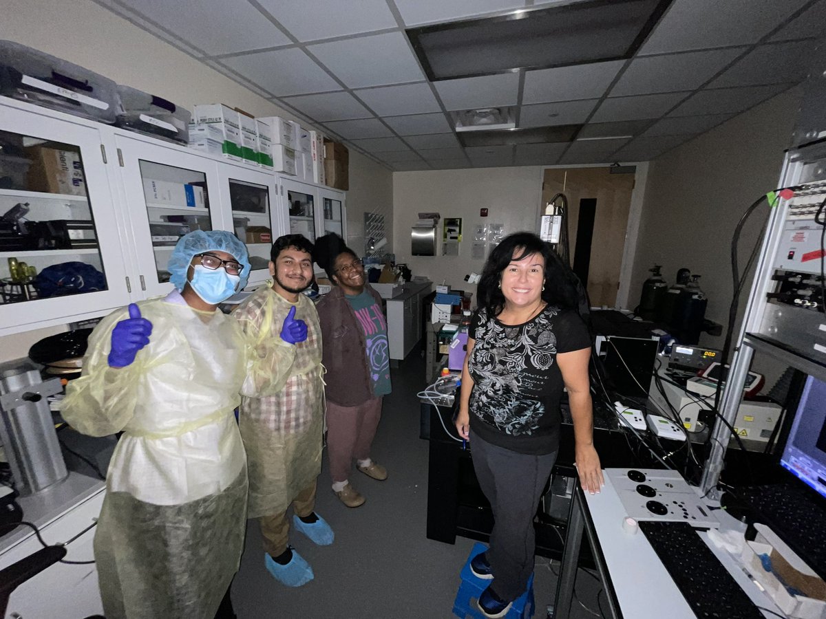 OleksiiShandra's tweet photo. Another good day at #ShandraLab! π Getting ready for some two-photon imaging by selecting landmarks. We got a a nice blood vessel and blood flow dynamics. π¬π©Έ #Neuroscience #TwoPhoton https://t.co/46VElVi3da
