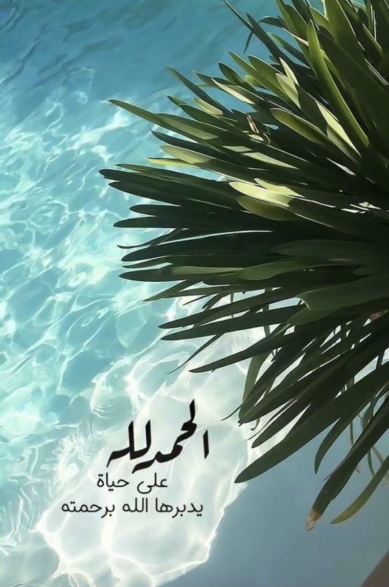 ام الغزلان❤️ (@omalgezlan) on Twitter photo 