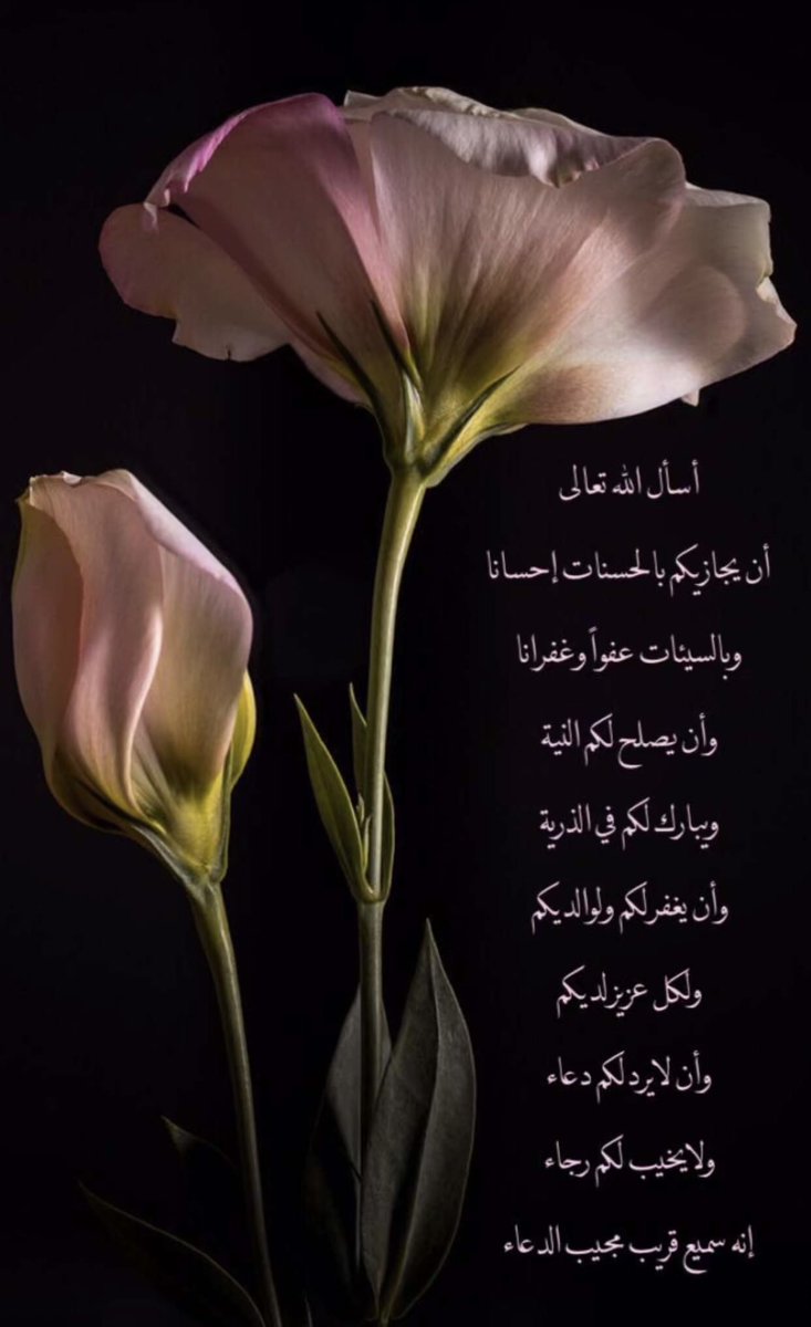 ام الغزلان❤️ (@omalgezlan) on Twitter photo 