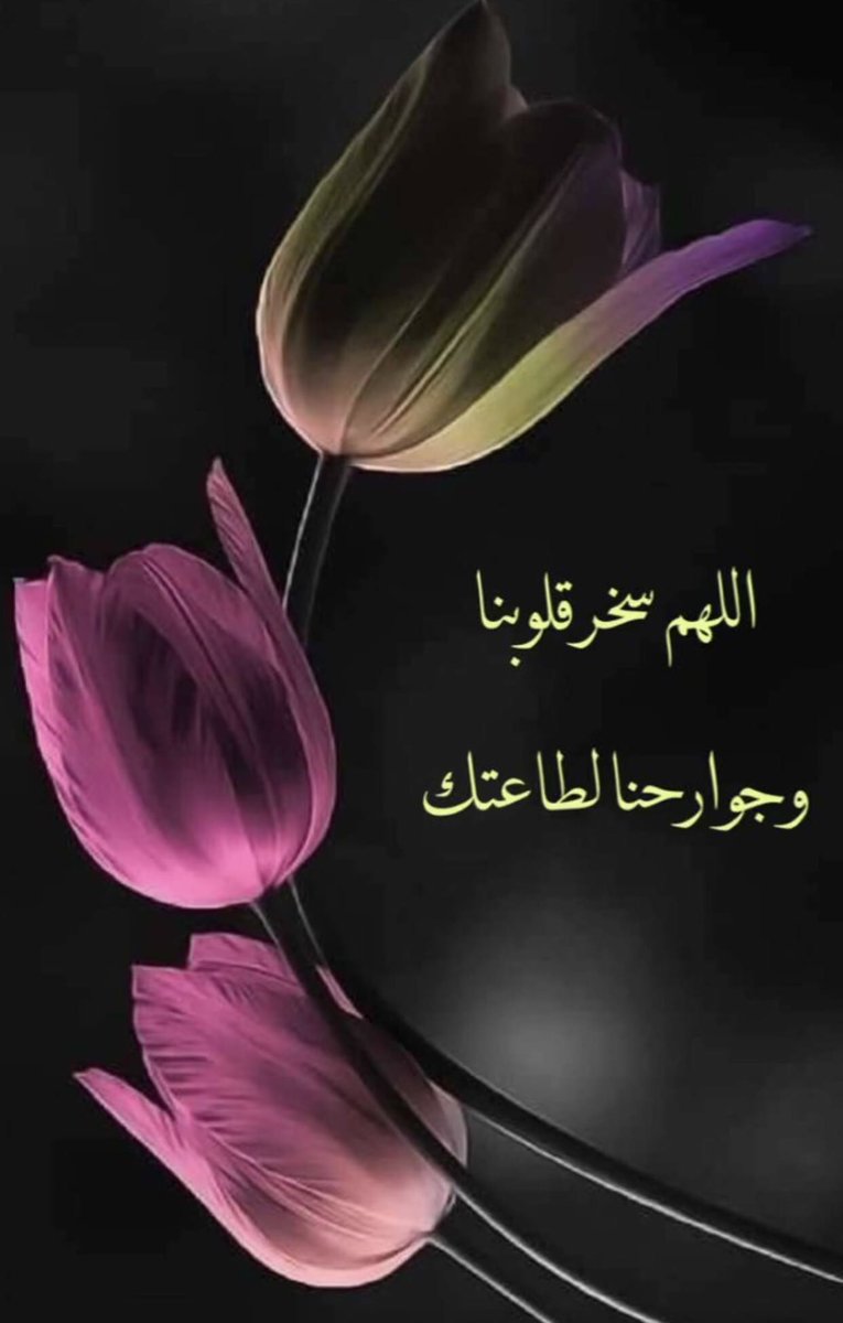 ام الغزلان❤️ (@omalgezlan) on Twitter photo 