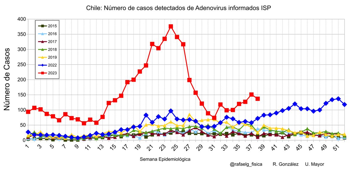 rafaelg_fisica's tweet photo. Chile        
Circulación virus respiratorios 
Semana 38: al 23 de sep  
Excluyendo SARS-COV2 y VRS estamos cerrando el peor septiembre desde 2011. Y es la 2da peor semana desde 2011 incluso comparando con inviernos

cuídese 

Metapneumovirus, Parinfluenza (récord), adenovirus https://t.co/WwuQE1mEnj
