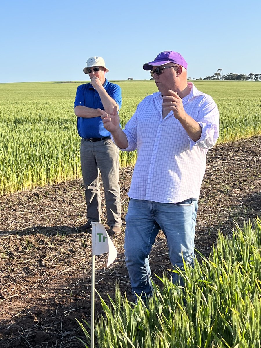 scottjohnfrank's tweet image. Hand me the Smoke Gerard! #Trialco. #Firestick