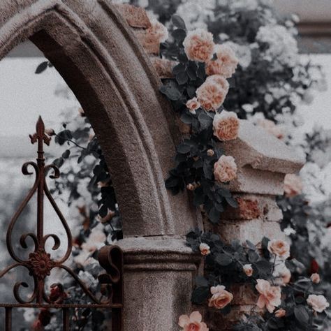 Λ (@averystellan) on Twitter photo hi! updating bc i've been inactive on this acc #booktwt
βpercy jackson
βtsc
βlegendborn
βcaraval/ouabh
βraven boys
βscythe
βtfota
βagggtm
βcharlotte holmes
βatlas six
βtig/jlb
love making aesthetic boards and book rec threads, so feel free to req whenever!
β‘/β» for mutuals πΈ hi! updating bc i've been inactive on this acc #booktwt
βpercy jackson
βtsc
βlegendborn
βcaraval/ouabh
βraven boys
βscythe
βtfota
βagggtm
βcharlotte holmes
βatlas six
βtig/jlb
love making aesthetic boards and book rec threads, so feel free to req whenever!
β‘/β» for mutuals πΈ