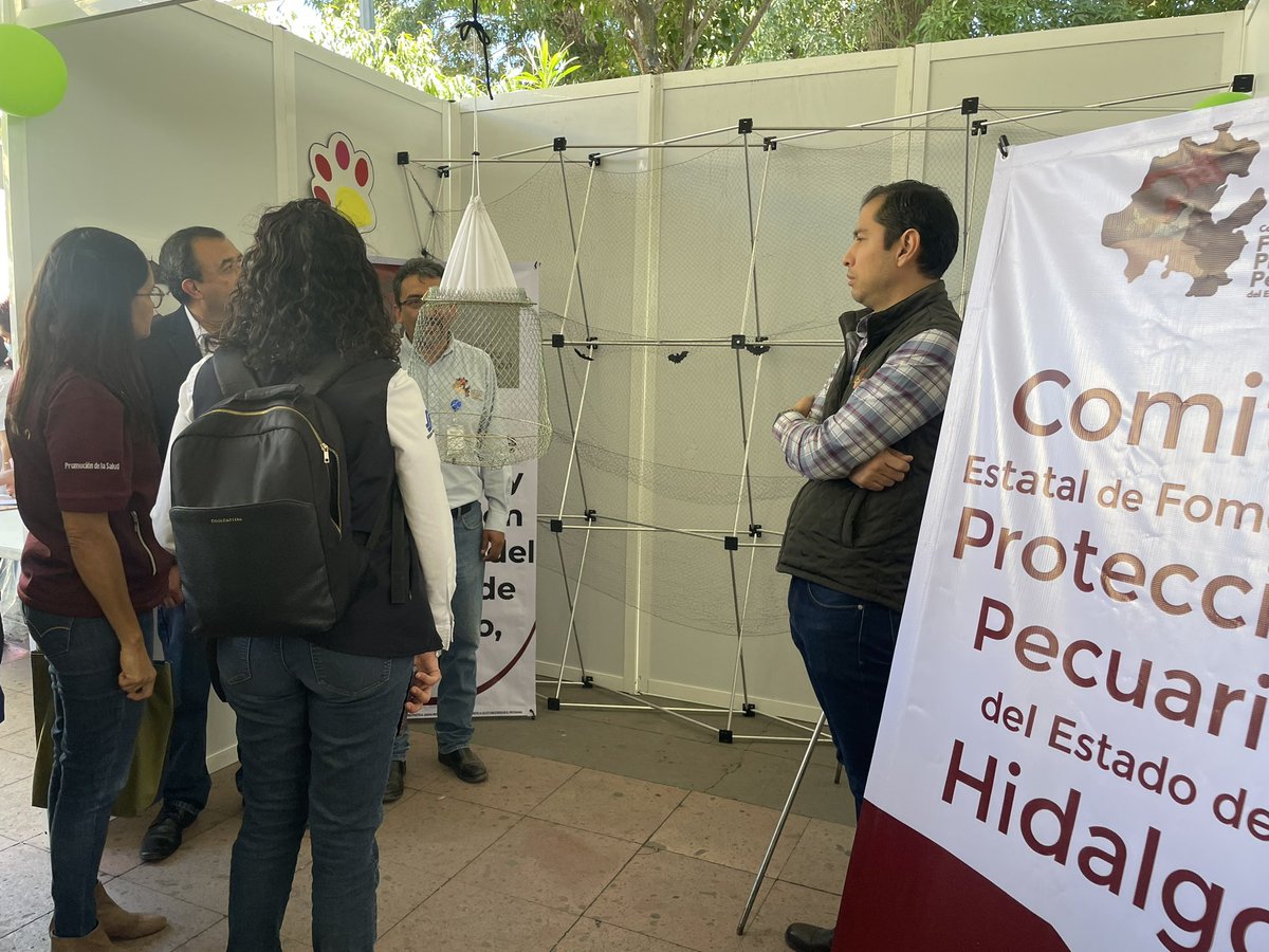cefpphidalgo's tweet image. Bajo la visión de “Una Sola Salud” participamos en el arranque de la jornada nacional de vacunación antirrábica canina y felina, en Tulancingo, donde expusimos las acciones que realizamos en la Campaña para la prevención y control de la Rabia en bovinos y especies ganaderas.