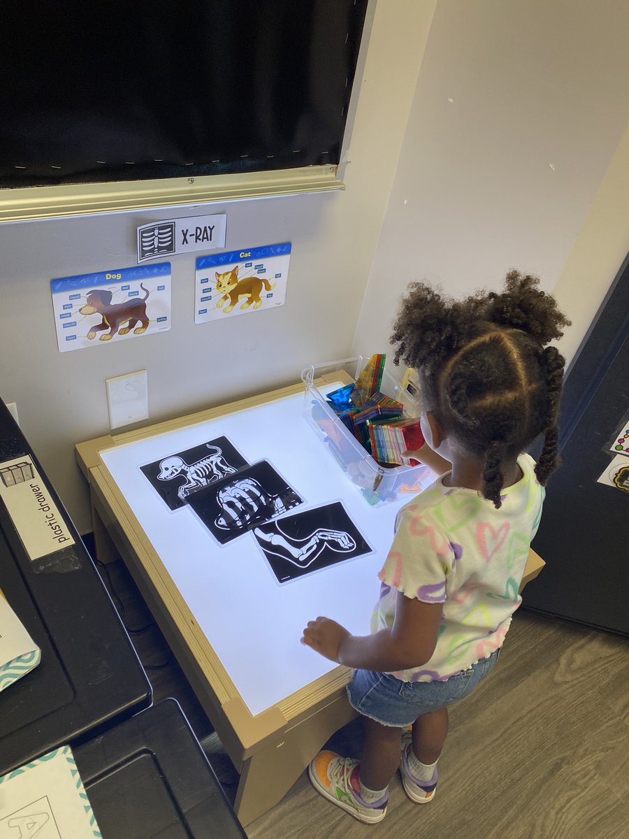 Ms. Natalie Pinilla (@npinilla1) on Twitter photo #Prek3 #Pets #PetVet #RISDWeAreOne Our Vet & his assistant were so gentle with their furry friends! My young scholars are digging for bones & marking the letters off! We are also checking out X-rays/making homes for pets & creating playdoh pets🐟🐶🐱🐰<a href="/ForestLnAcademy/">Forest Lane Academy</a> #Prek3 #Pets #PetVet #RISDWeAreOne Our Vet & his assistant were so gentle with their furry friends! My young scholars are digging for bones & marking the letters off! We are also checking out X-rays/making homes for pets & creating playdoh pets🐟🐶🐱🐰<a href="/ForestLnAcademy/">Forest Lane Academy</a>