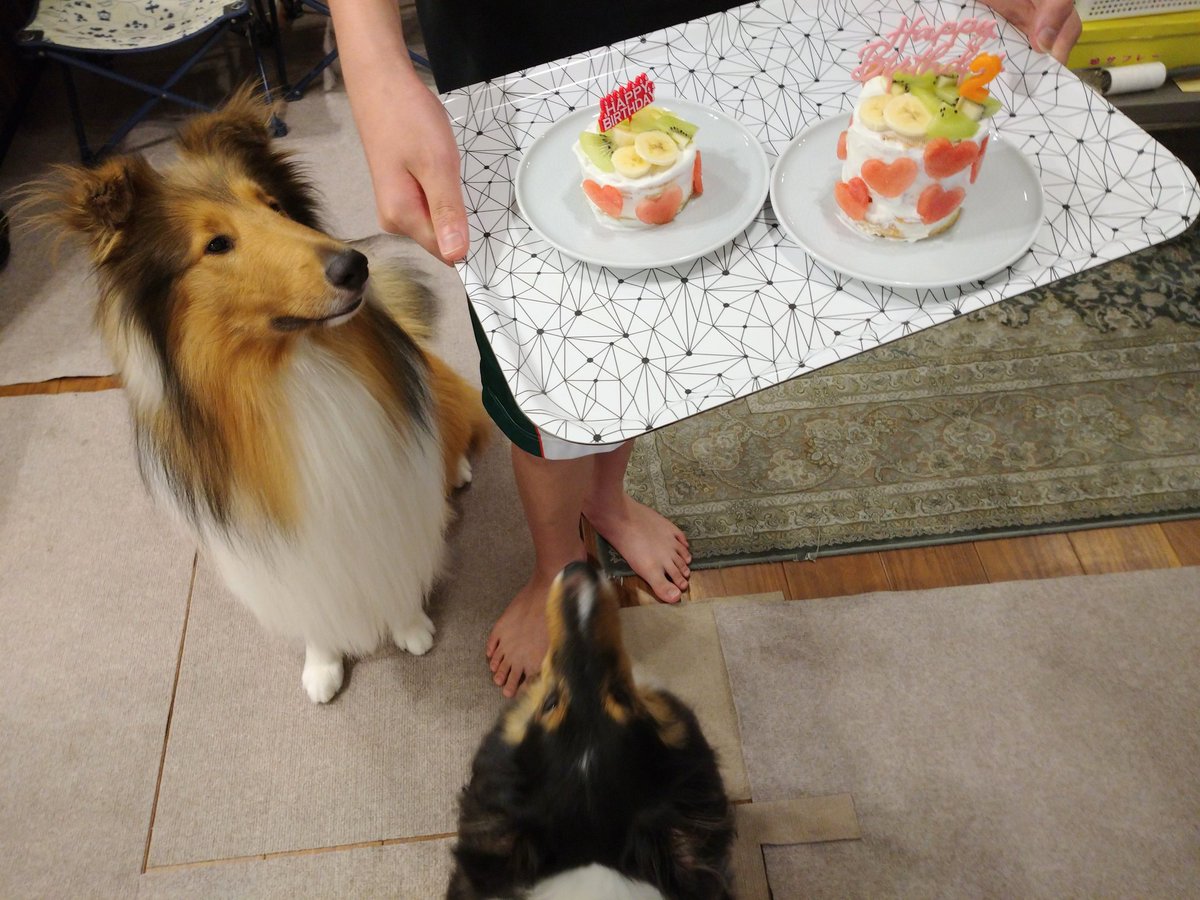 かなり前ですが(7/11)
マノアのお誕生日にもケーキで
お祝いしました🙆
マノア2歳おめでとう🎉✨😆✨🎊
元気で優しいマノア大好き💟
ケーキはアネラのアレルギーもあるので、米粉パンケーキにギリシャヨーグルトを塗ってフルーツ🍉🍌🥝をのっけただけです😆