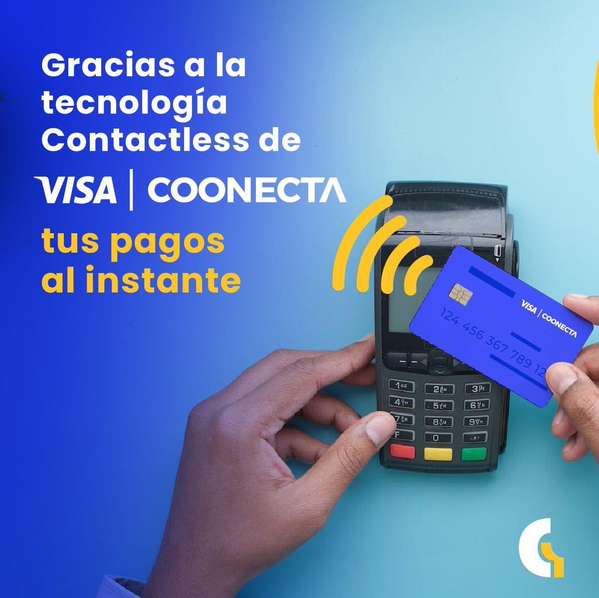 Coonecta Red Transaccional tweet media