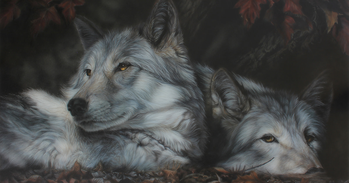 WisconsinScienceFest (@wiscifest) on Twitter photo What is an endangered species? How we answer the question will shape our response to the biodiversity crisis in the broadest way.
Join us Oct. 20 at <a href="/northland_edu/">Northland College</a> to hear from Wolf Awareness Week keynote speaker John Vucetich! #WiSciFest wisconsinsciencefest.org/event/wolf-awa… What is an endangered species? How we answer the question will shape our response to the biodiversity crisis in the broadest way.
Join us Oct. 20 at <a href="/northland_edu/">Northland College</a> to hear from Wolf Awareness Week keynote speaker John Vucetich! #WiSciFest wisconsinsciencefest.org/event/wolf-awa…