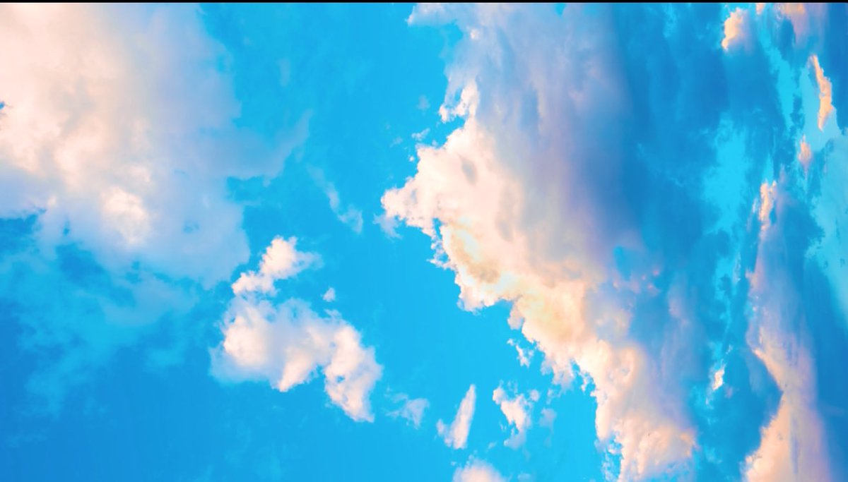 Carlos Zanón tweet media