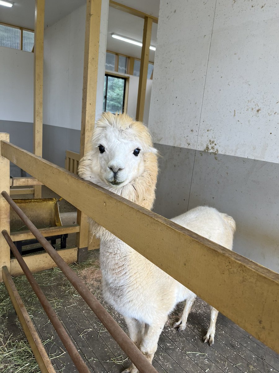 Noanoa1616's tweet photo. 涼しかった〜というか寒かった〜
何が面白かったって最後の写真です https://t.co/O2Vd7bo7cH