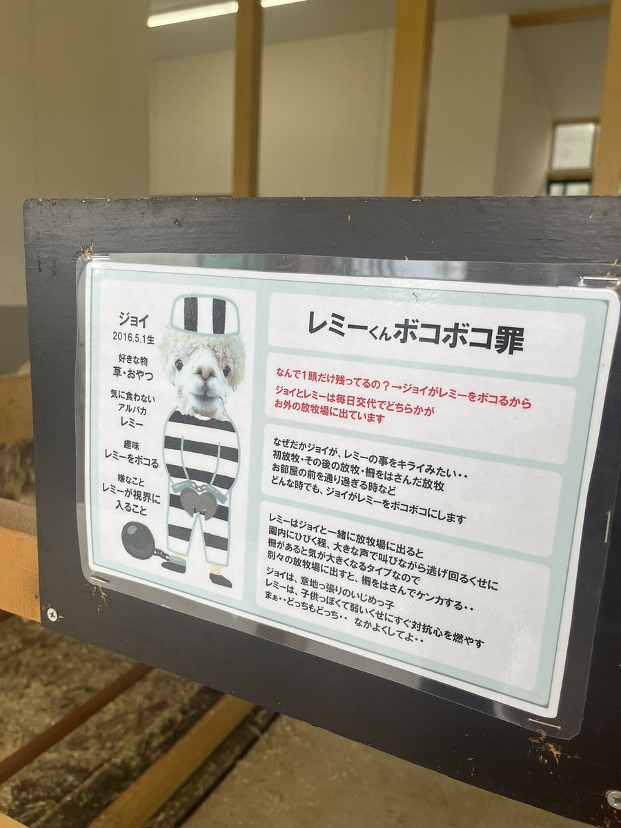 Noanoa1616's tweet photo. 涼しかった〜というか寒かった〜
何が面白かったって最後の写真です https://t.co/O2Vd7bo7cH