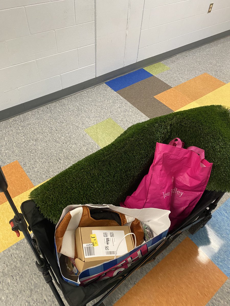 You know I mean business when I got my rolling cart filled with fake grass! Pumped for Rock Your School Day! @ElemSybelia @CDLocps #ocpsRYS #impactCDL @getyourteachon