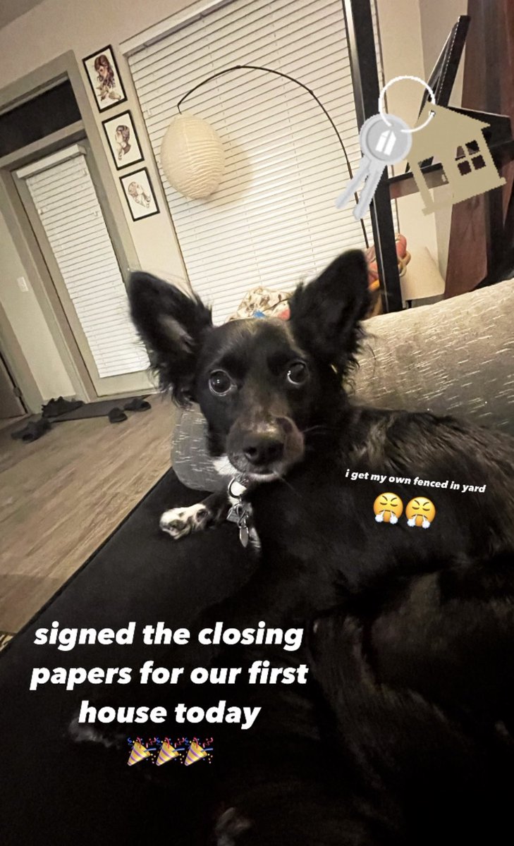 Signed the closing papers for our first house yesterdayy! 🙌🏼 ANDD  Fish gets his own fenced in yard FINALLY 👏🏼 &amp; HE IS STOKED