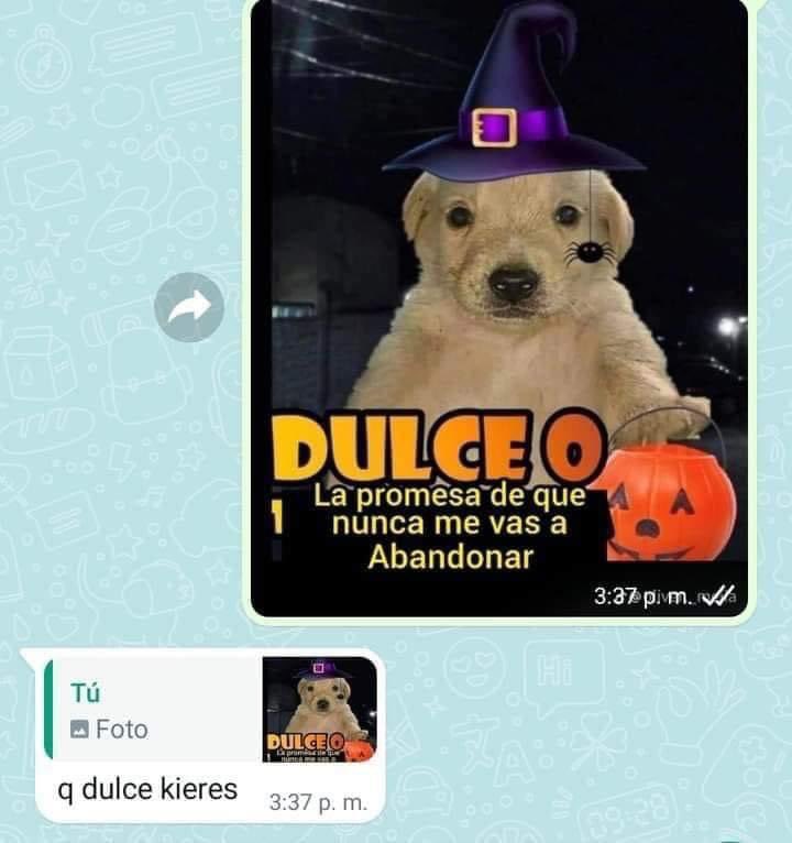 Guarromantico_'s tweet photo. Siempre sí se fue 😔 https://t.co/28xlfoElXi