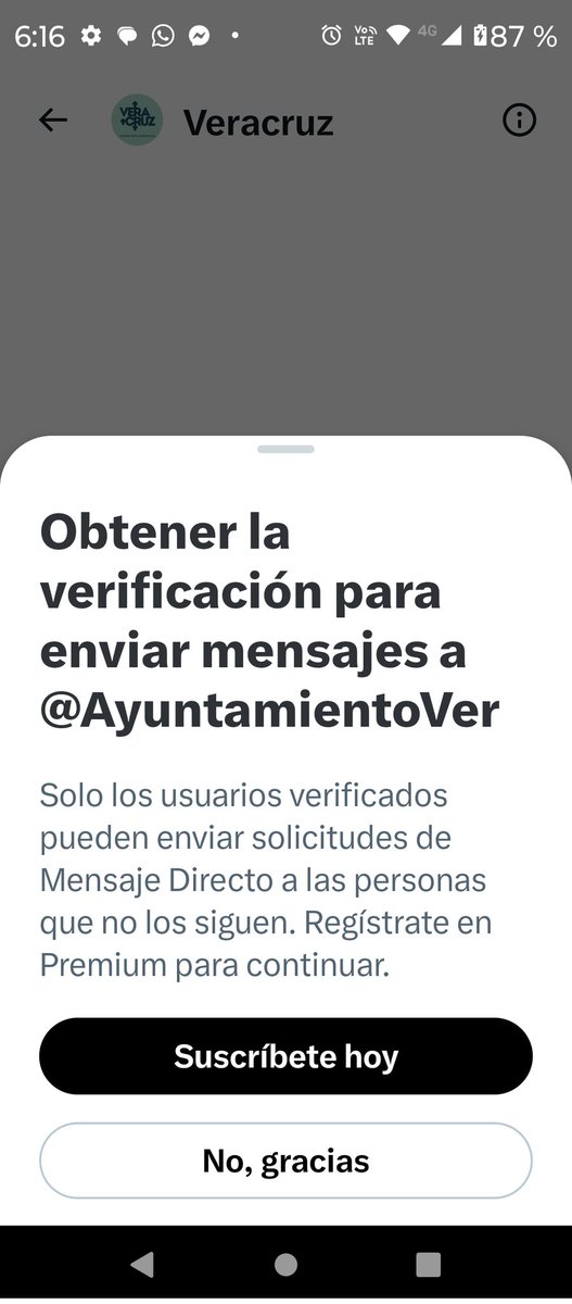 AM3THAR3VALO tweet media