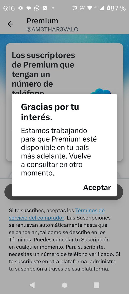 AM3THAR3VALO tweet media