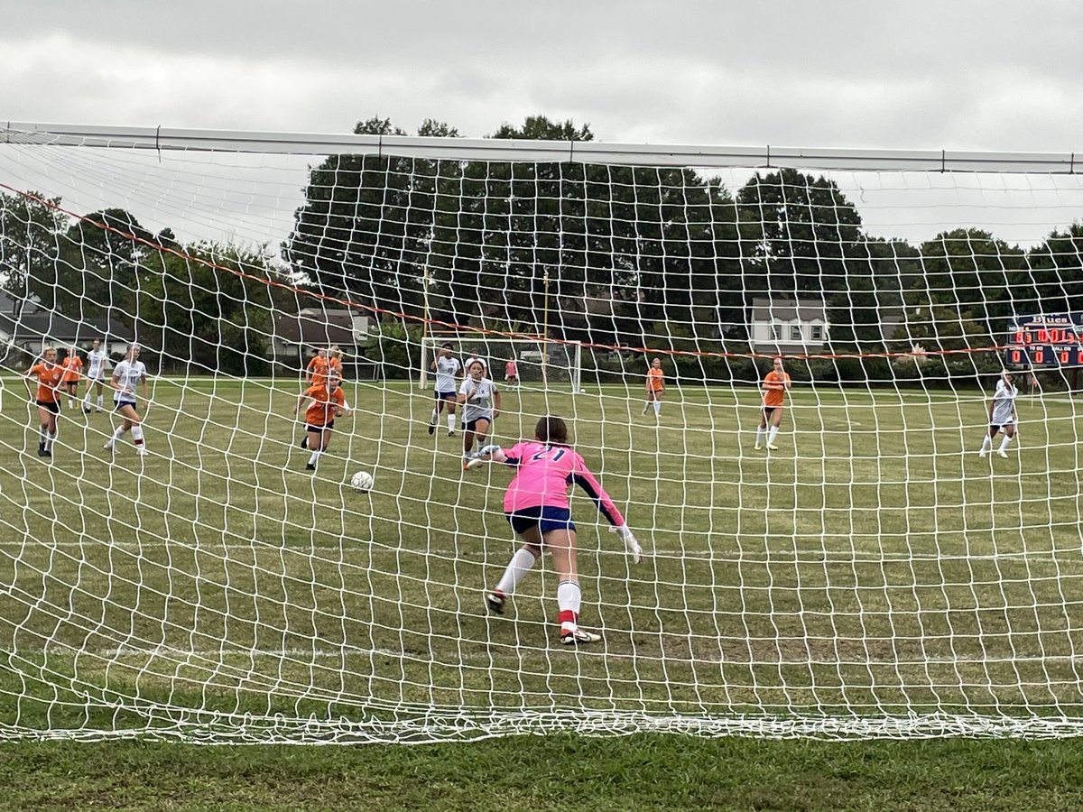 Brad Nelson tweet media