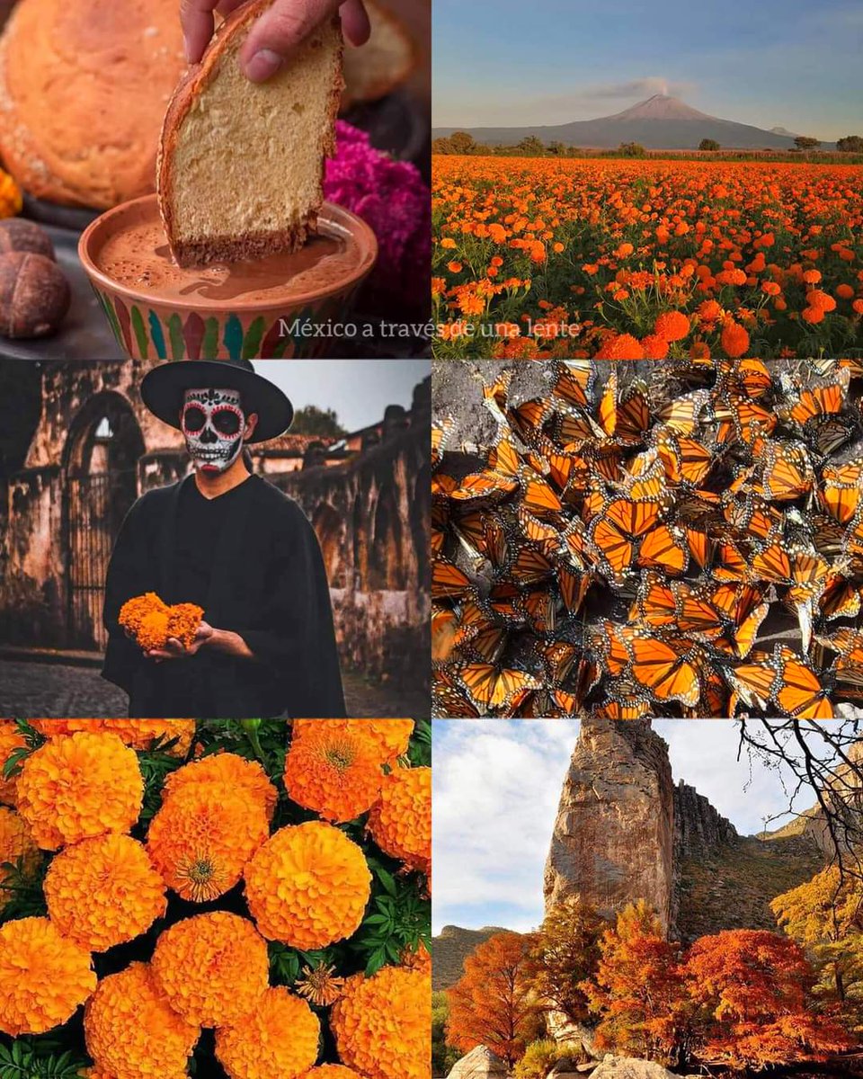 🌼ꜱᴇñᴏʀᴀ ɢɪʟꜱᴏɴ🌼 tweet media