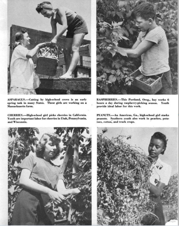 Did you know during WWI there was an agricultural labor shortage? Teenagers worked on farms in both world wars to help alleviate the shortage.

thefoodhistorian.com/blog/world-war…

#wwi #wwii #ww1 #ww2 #homefront #WorldWarWednesday #propaganda #agriculturalhistory #foodhist #thefoodhistorian