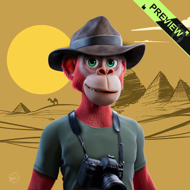 MiliStar79's tweet image. I am a happy traveler
#ApeTraitOfTheDay 
Found my camera at #TheConfigurator 
@BullsApesProj