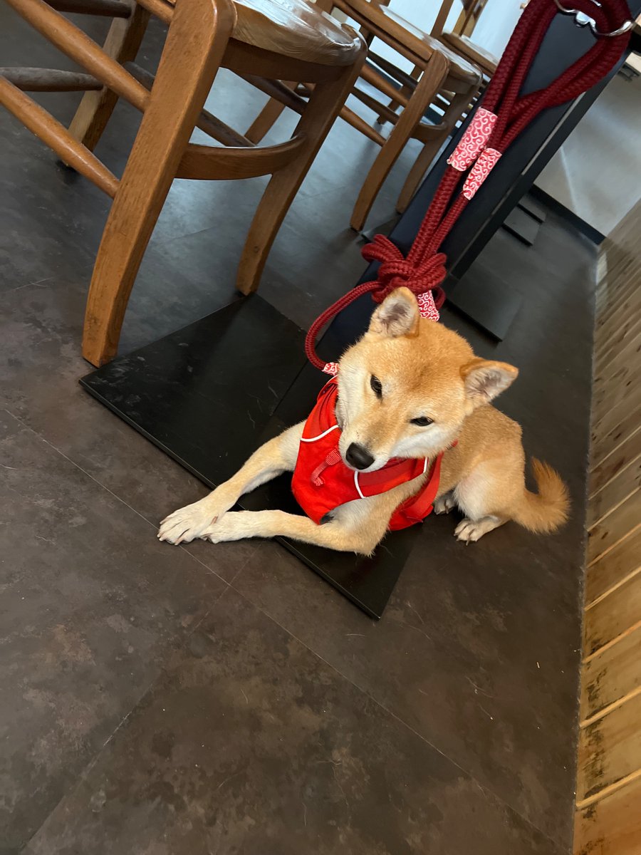 お風呂に入って身体乾かに来ながらまったりしている最中^_^