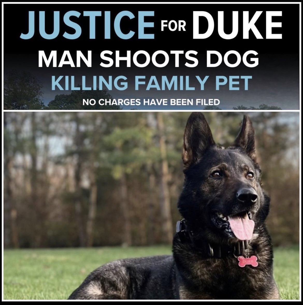 Chris Shrader tweet media