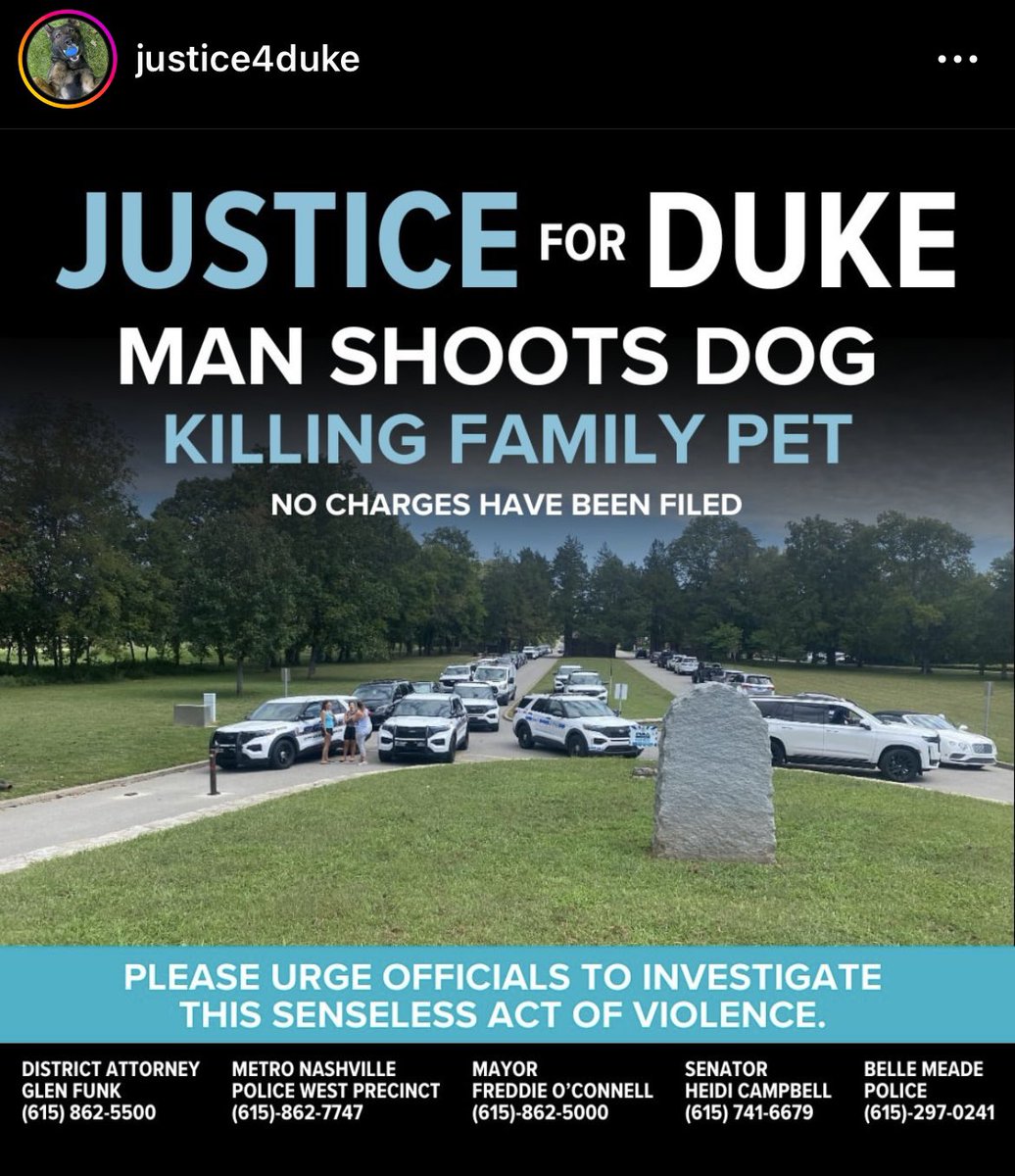 Chris Shrader tweet media