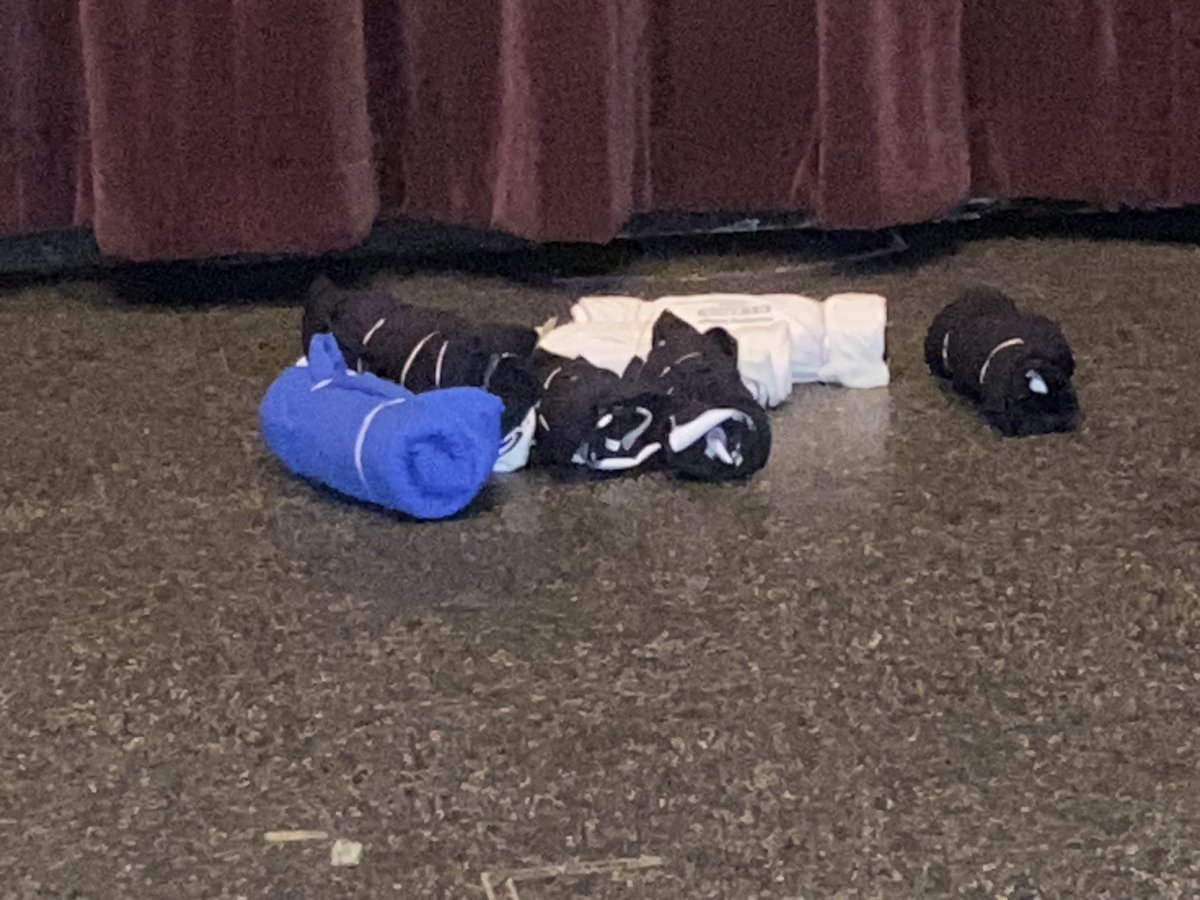 FrontRowFlynn's tweet photo. The cannon T-shirts are piled on the floor with care, in hopes Beyond Fest Claus soon will be there. 🎉🥳
It’s the film party of the year @BeyonFest 2023!
THE ABYSS: SPECIAL EDITION 4k restoration, w/@JimCameron Q&A!
#beyondfest #theabyss #jamescameron #filmgeek #frontrowflynn https://t.co/ujRyeWG9uB