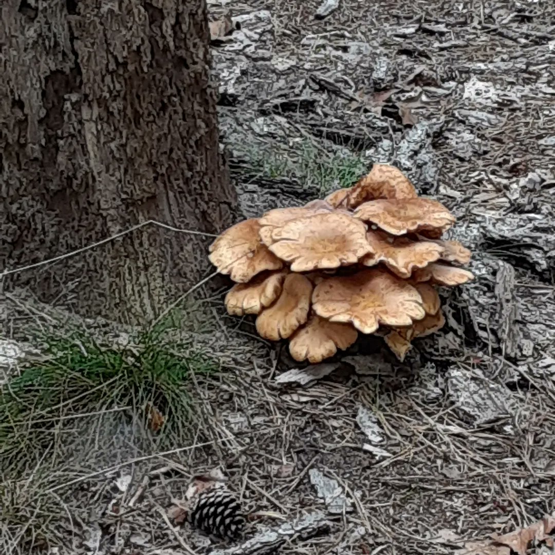 Mary E. Swigonski tweet media