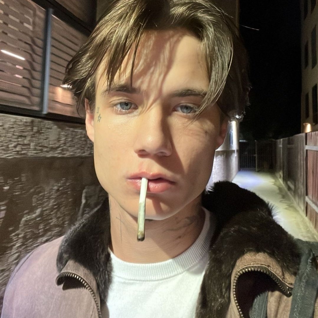ImJustAStray's tweet image. let me preface this by saying his current hair is great ! i love it ! i'm not complaining at all ! BUT every once in a while i think of brown hair jaden and