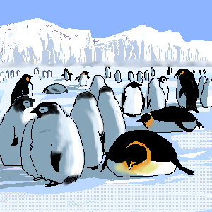 「今日暑いな 過去絵「南極」」|味噌グラムのイラスト