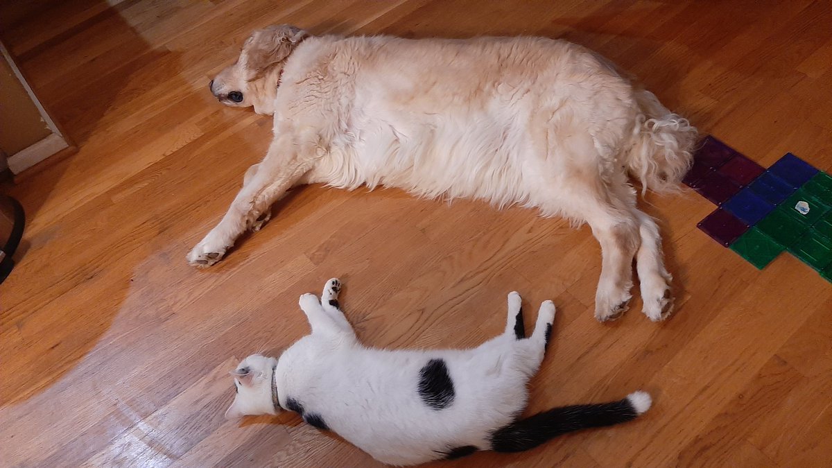 Parallel evolution